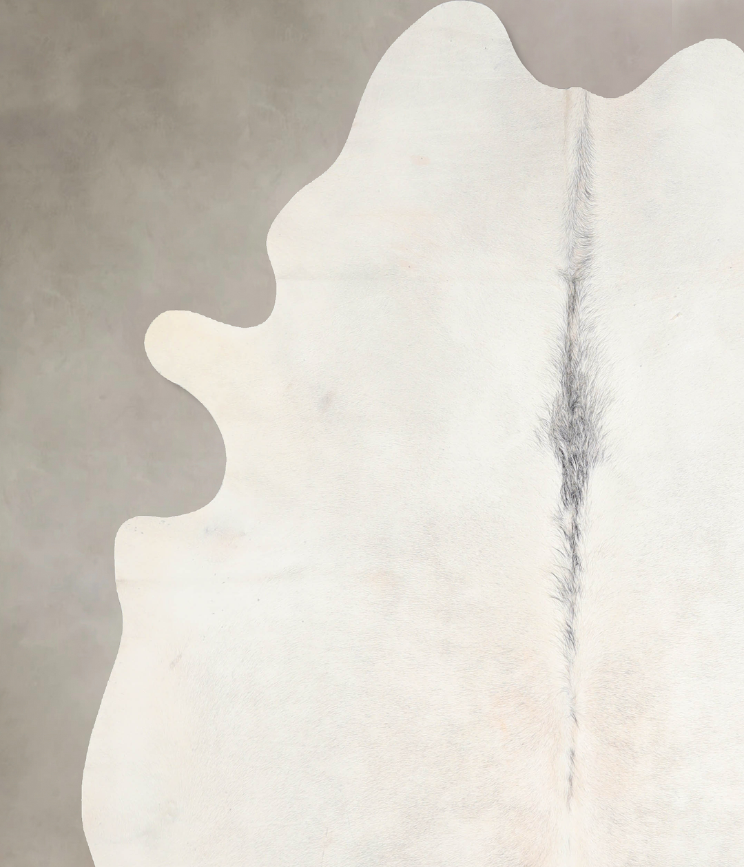 Light Grey XX-Large Brazilian Cowhide Rug 7'9"H x 6'8"W #A31049 by Hud