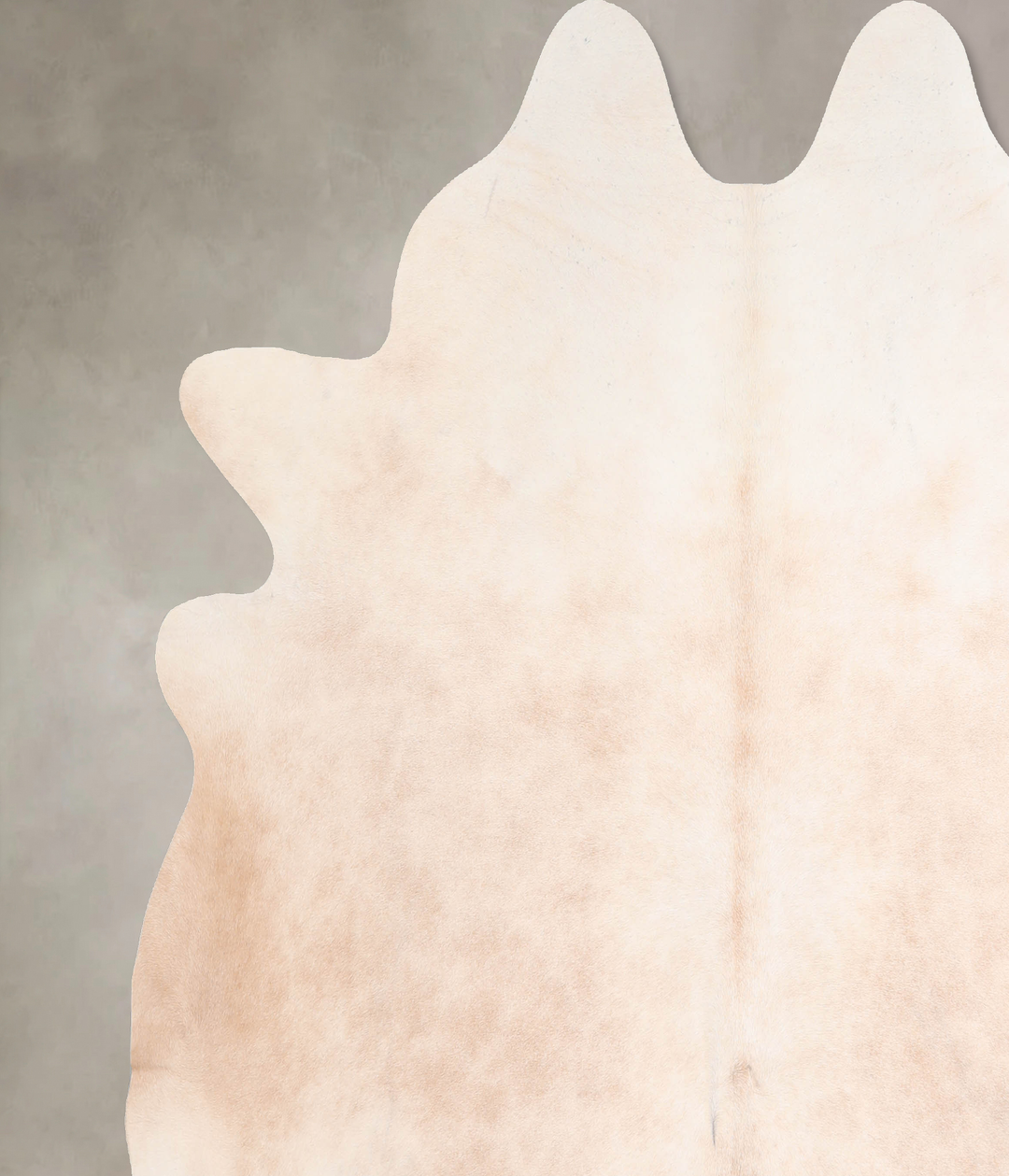 Ivory with Beige XX-Large Brazilian Cowhide Rug 7'3"H x 7'2"W #A31067 