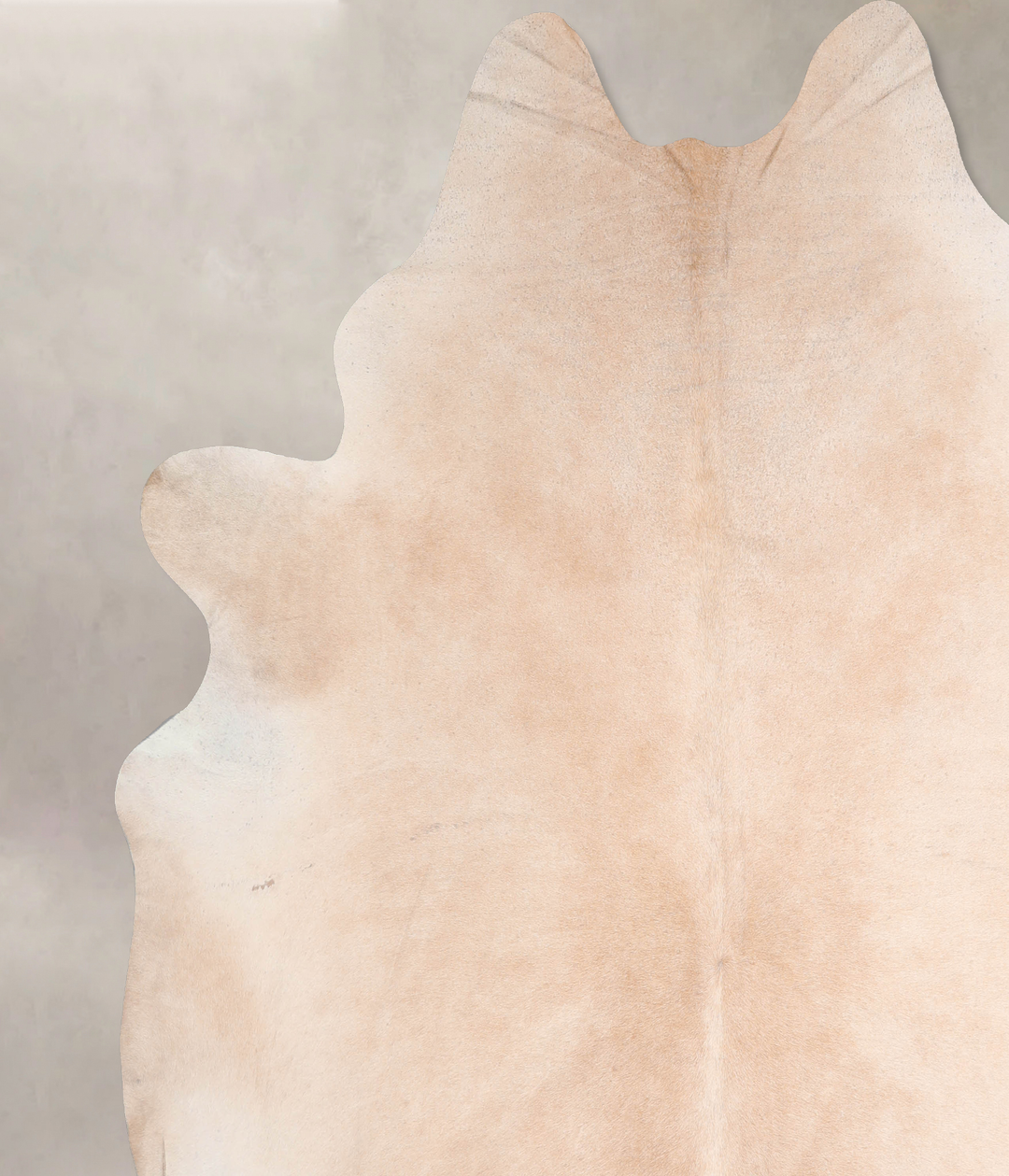 Beige XX-Large Brazilian Cowhide Rug 8'3"H x 7'11"W #A31157 by Hudson 
