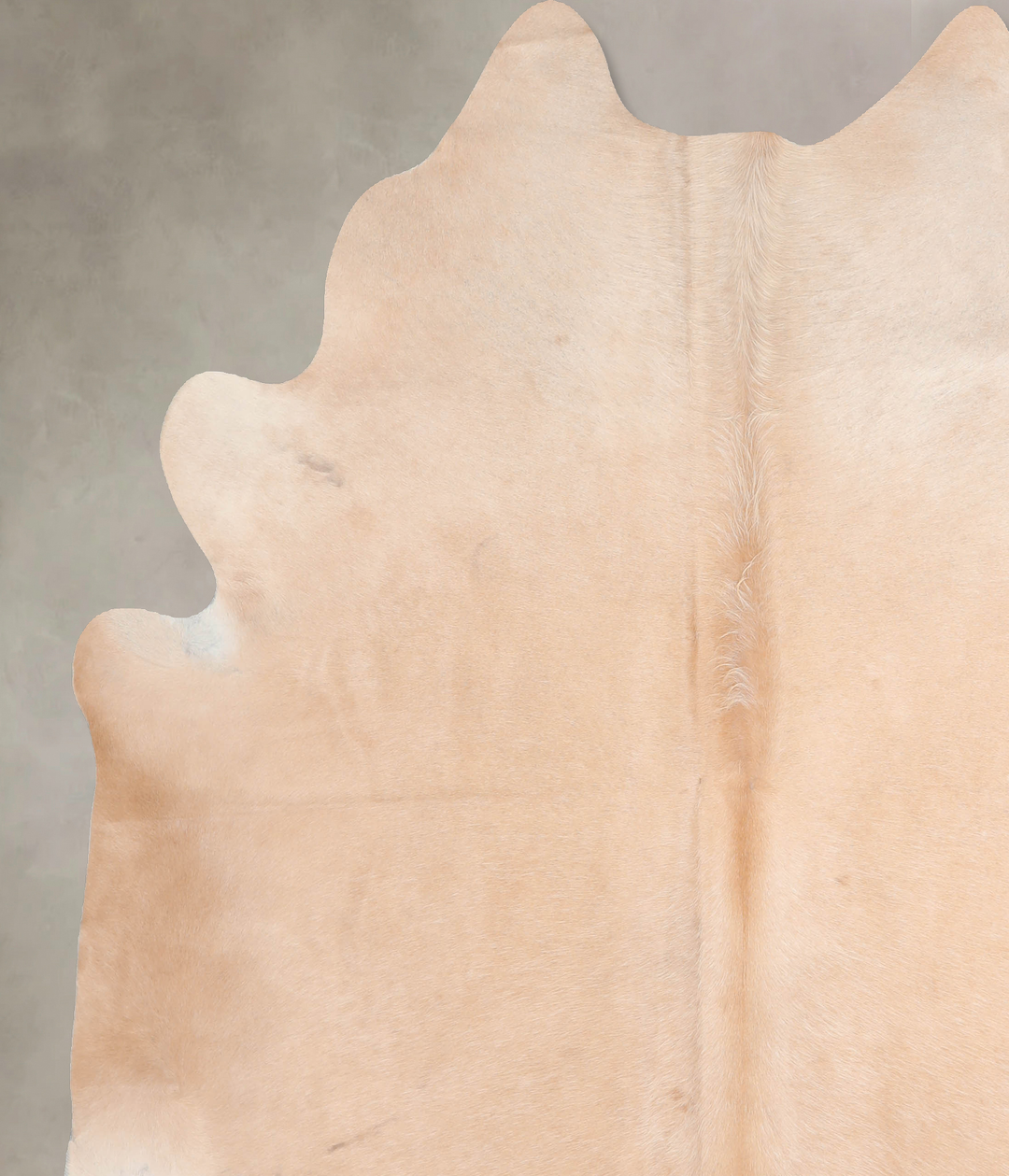 Beige XX-Large Brazilian Cowhide Rug 7'6"H x 6'10"W #A31177 by Hudson 