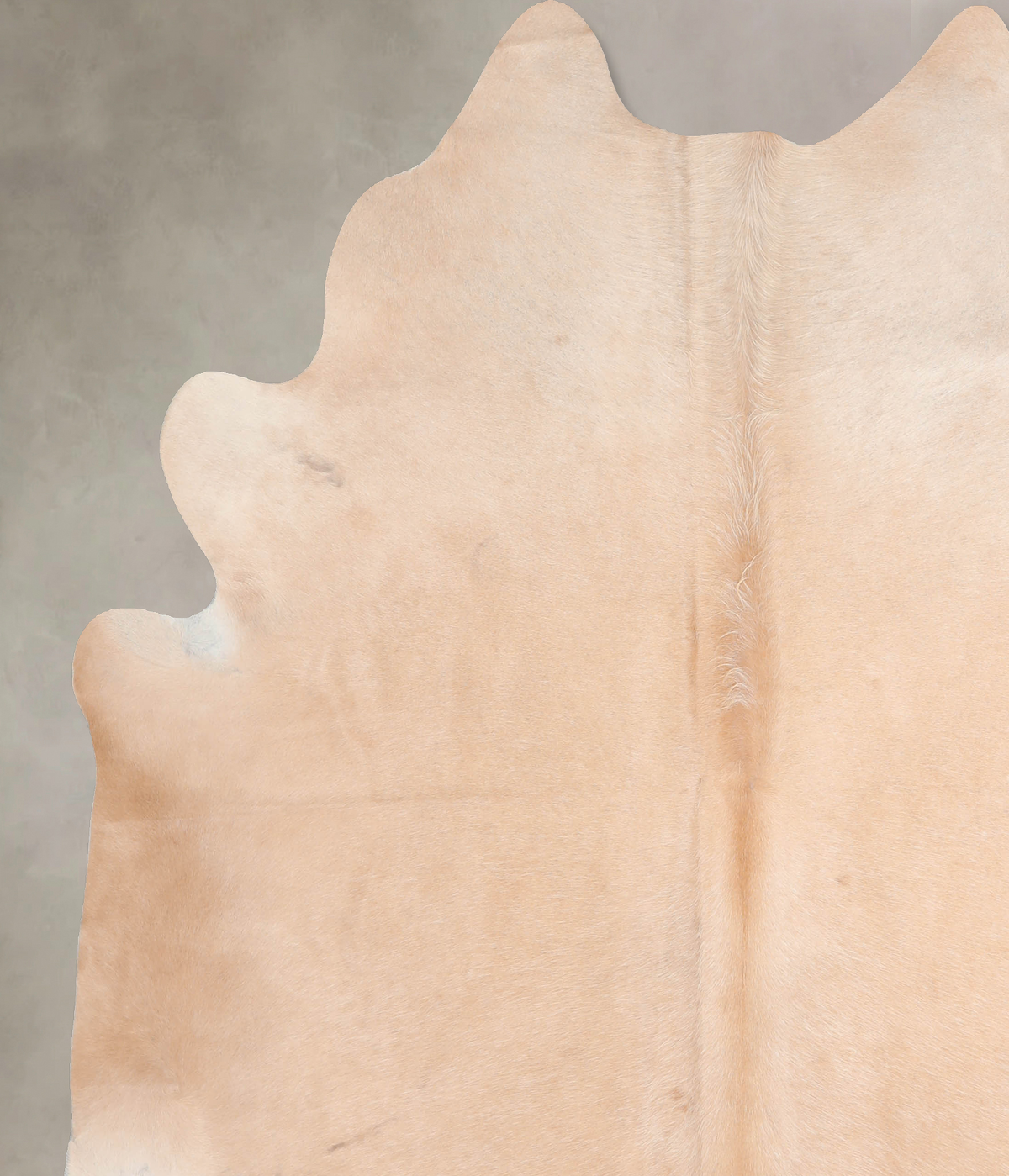 Beige XX-Large Brazilian Cowhide Rug 7'6"H x 6'10"W #A31177 by Hudson Hides