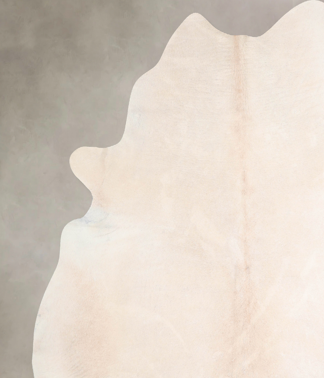 Ivory with Beige XX-Large Brazilian Cowhide Rug 7'6"H x 6'11"W #A31201