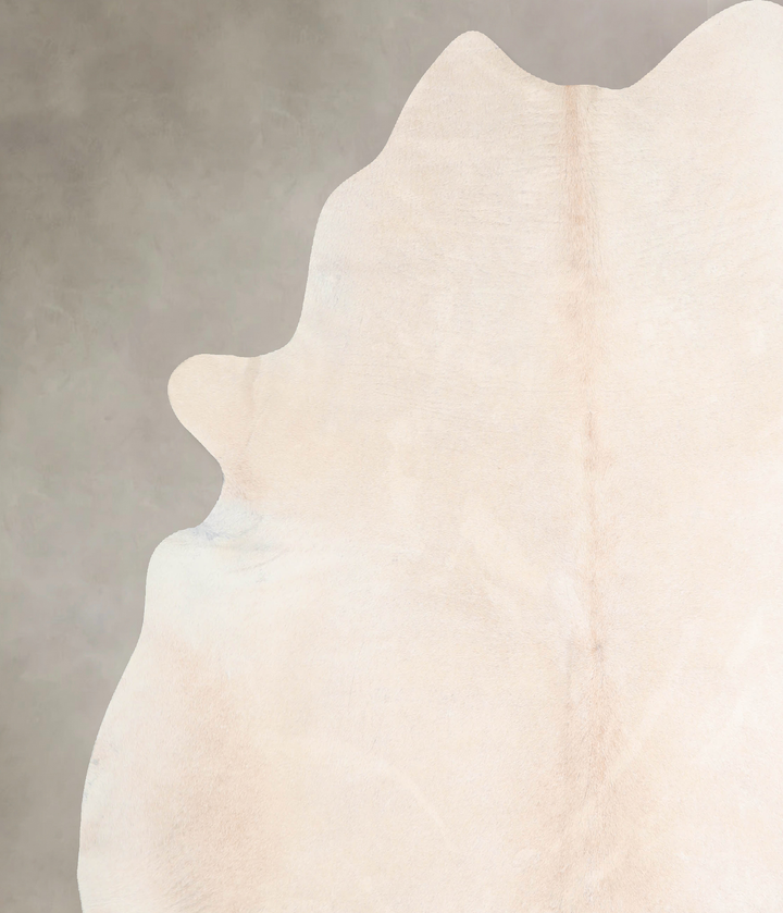 Ivory with Beige XX-Large Brazilian Cowhide Rug 7'6"H x 6'11"W #A31201 by Hudson Hides