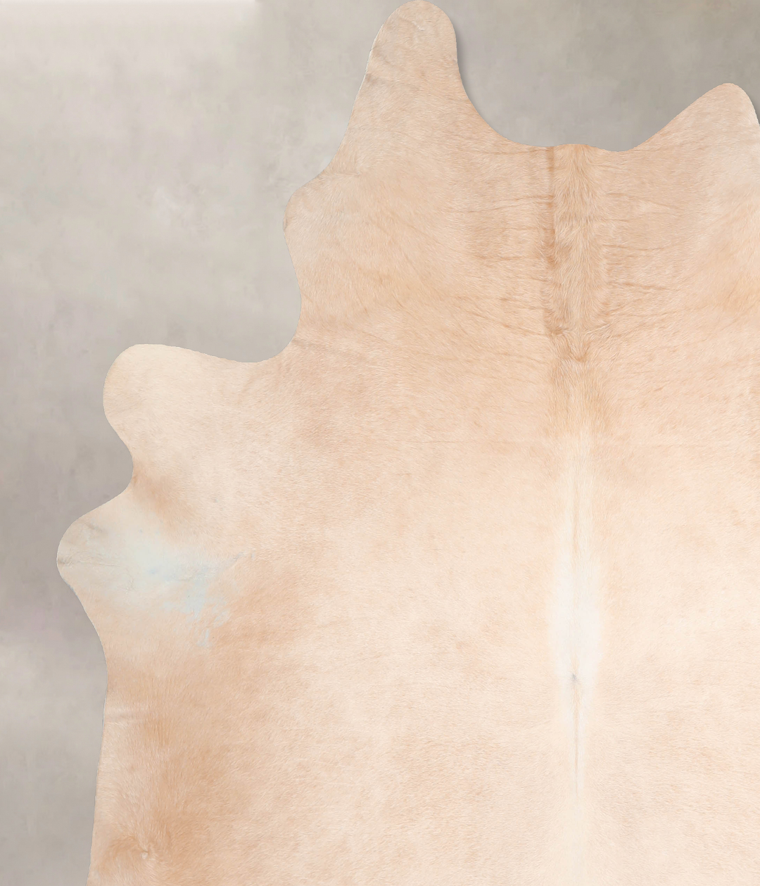 Beige XX-Large Brazilian Cowhide Rug 7'11"H x 6'9"W #A31212 by Hudson 