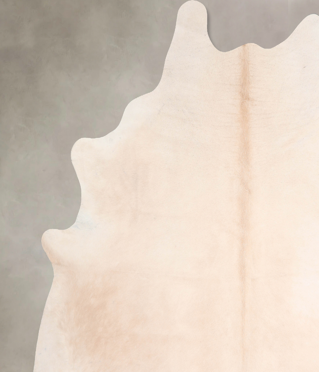 Beige XX-Large Brazilian Cowhide Rug 8'2"H x 7'7"W #A31240 by Hudson H