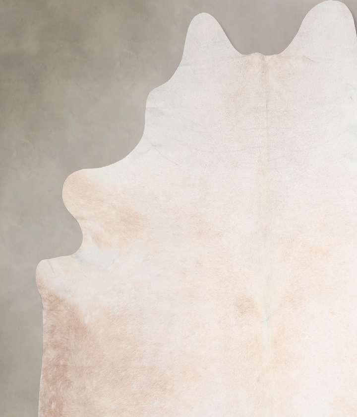 Ivory with Beige XX-Large Brazilian Cowhide Rug 8'1"H x 7'8"W #A31273 by Hudson Hides