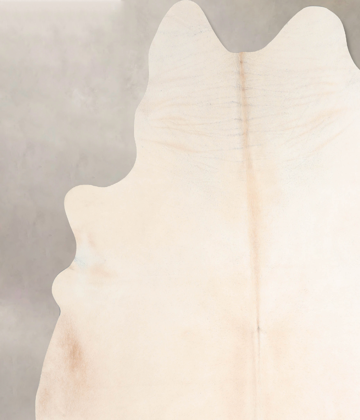 Ivory with Beige XX-Large Brazilian Cowhide Rug 7'10"H x 7'4"W #A31292 by Hudson Hides
