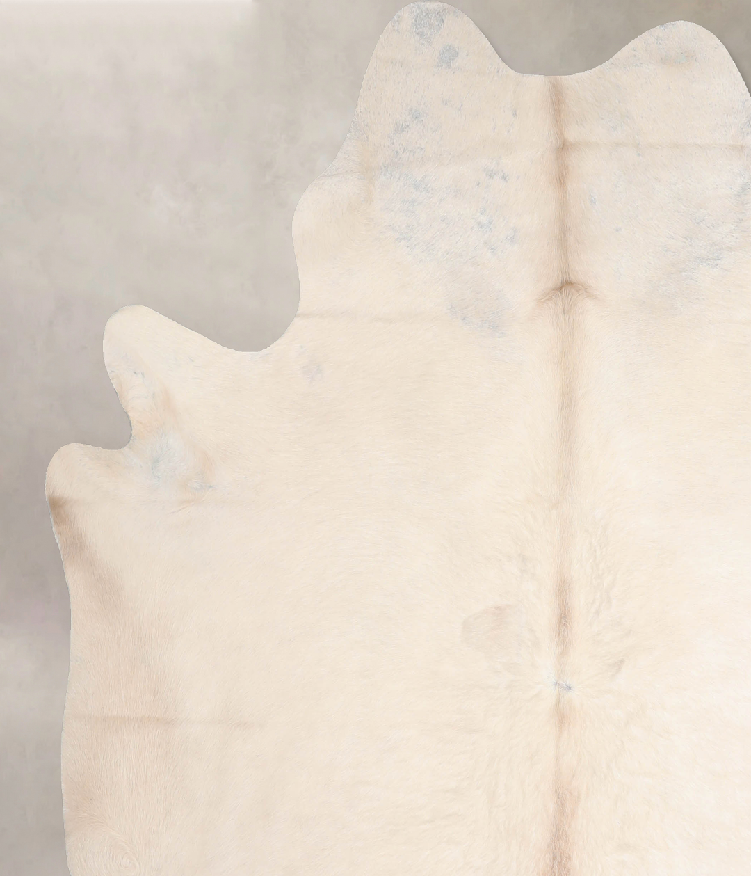 Ivory with Beige X-Large Brazilian Cowhide Rug 7'1"H x 6'6"W #A31323 b