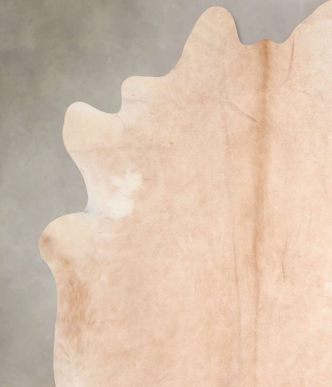 Beige XX-Large Brazilian Cowhide Rug 7'10"H x 7'6"W #A31330 by Hudson 