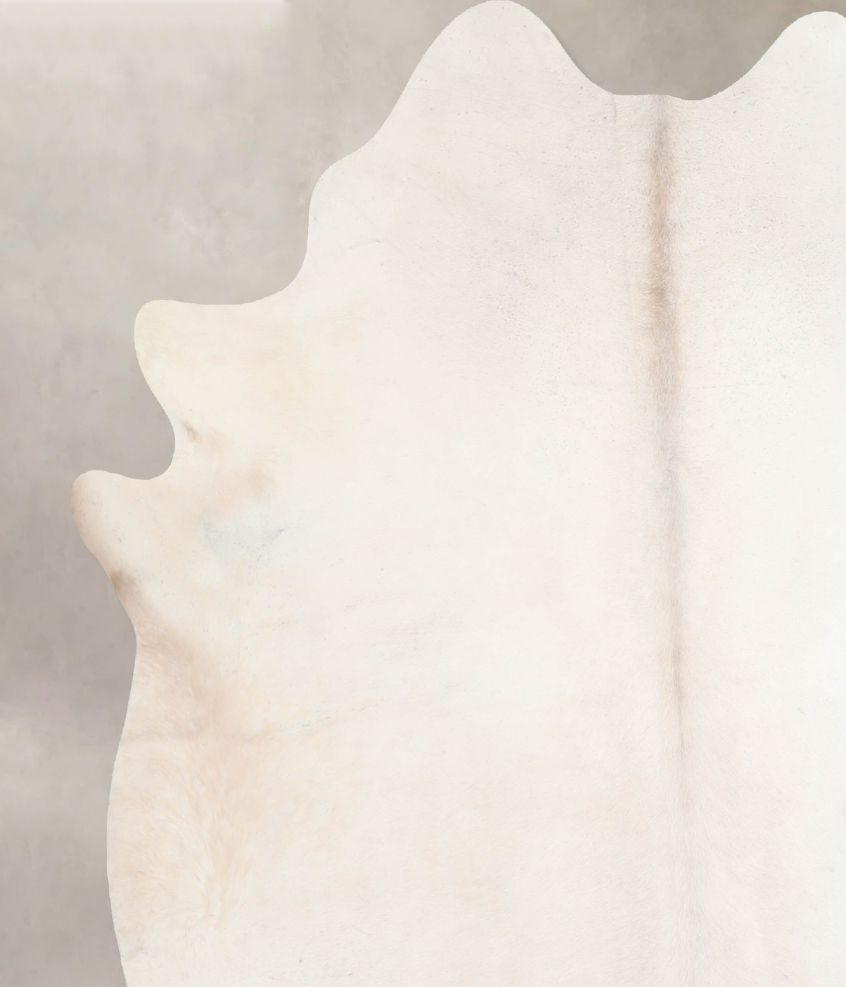 Ivory with Beige Cowhide Rug #A31356