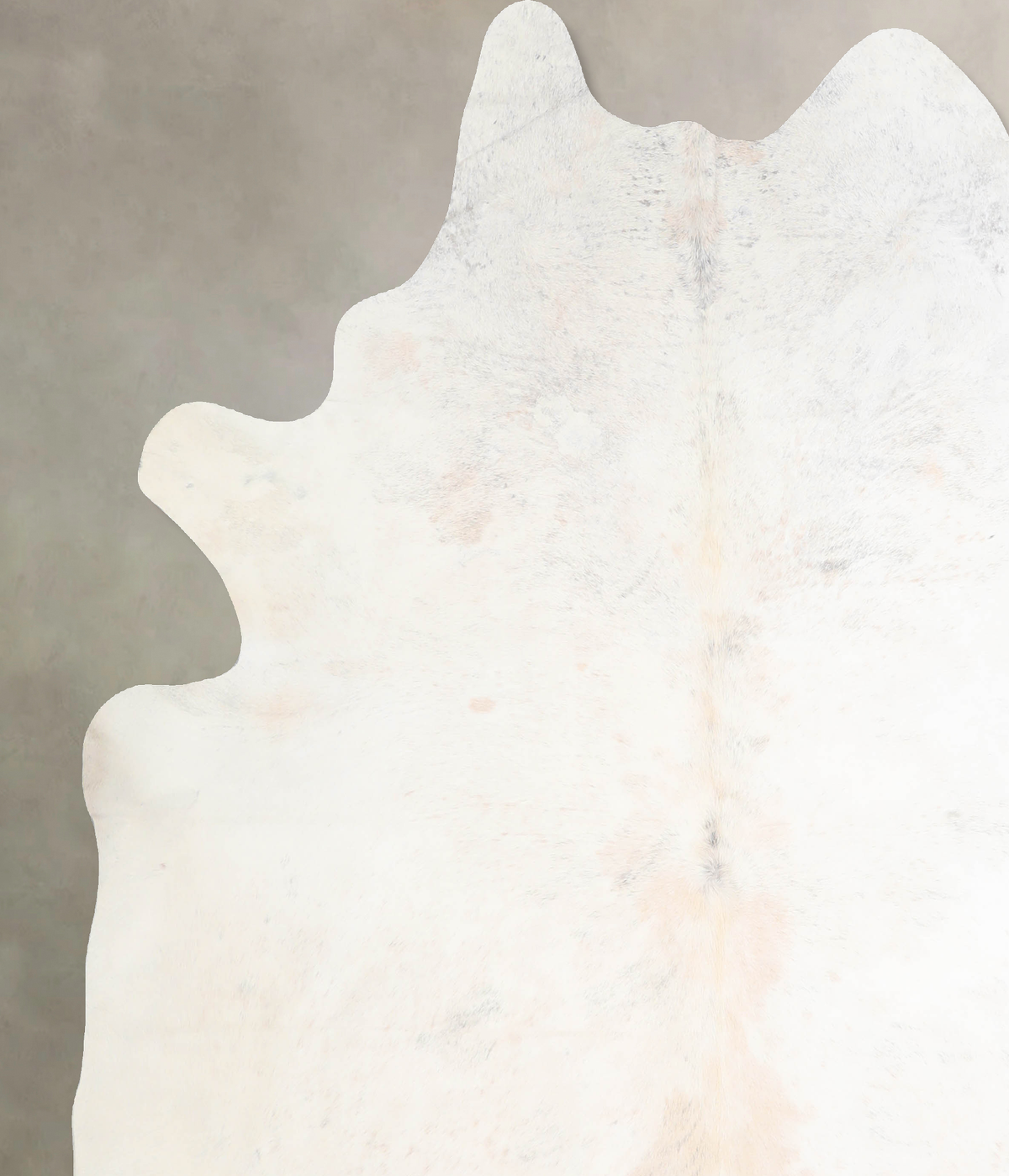 Ivory with Beige XX-Large Brazilian Cowhide Rug 7'10"H x 7'4"W #A31377 by Hudson Hides