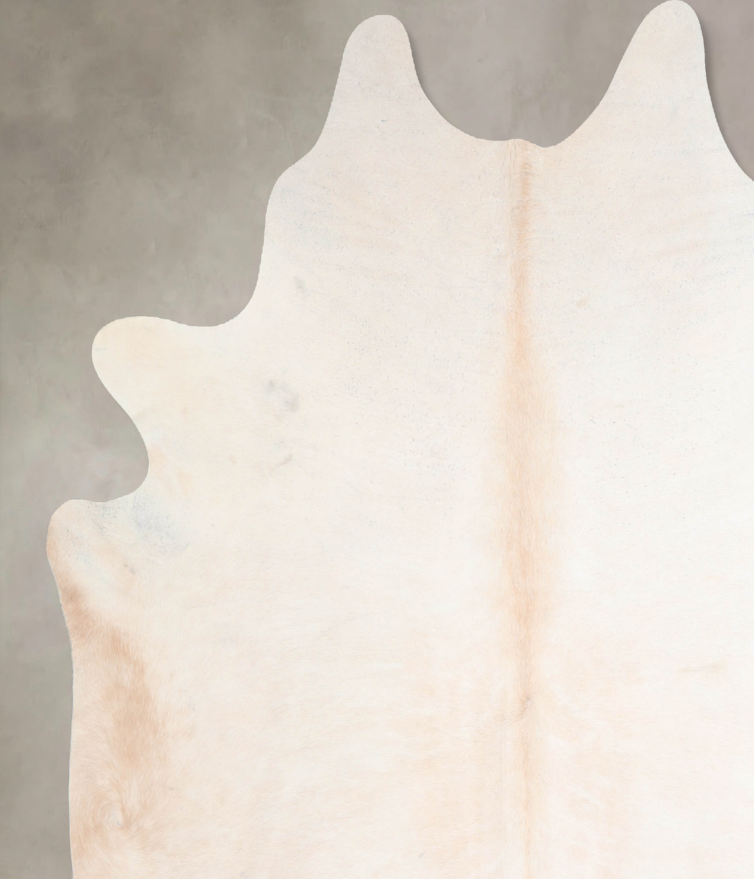 Ivory with Beige XX-Large Brazilian Cowhide Rug 7'6"H x 7'0"W #A31422 