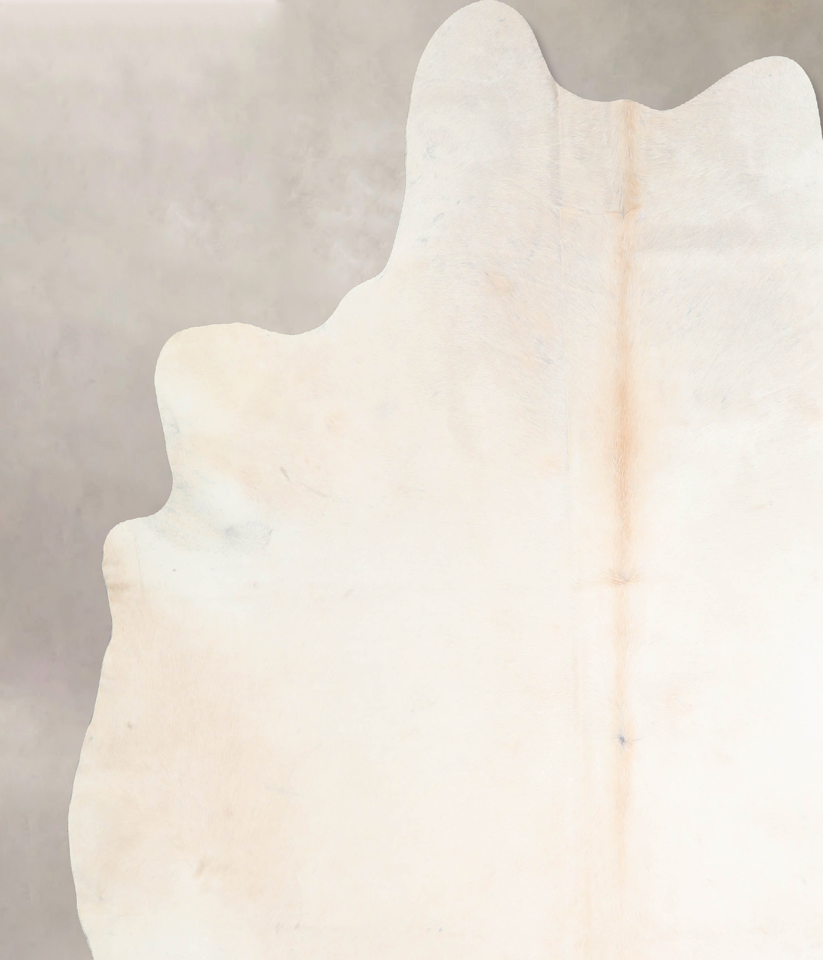 Ivory with Beige XX-Large Brazilian Cowhide Rug 7'11"H x 7'6"W #A31444 by Hudson Hides
