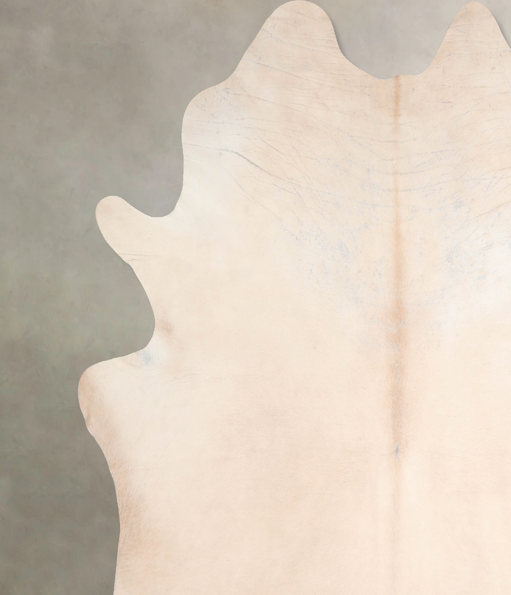 Ivory with Beige XX-Large Brazilian Cowhide Rug 8'7"H x 7'11"W #A31480 by Hudson Hides