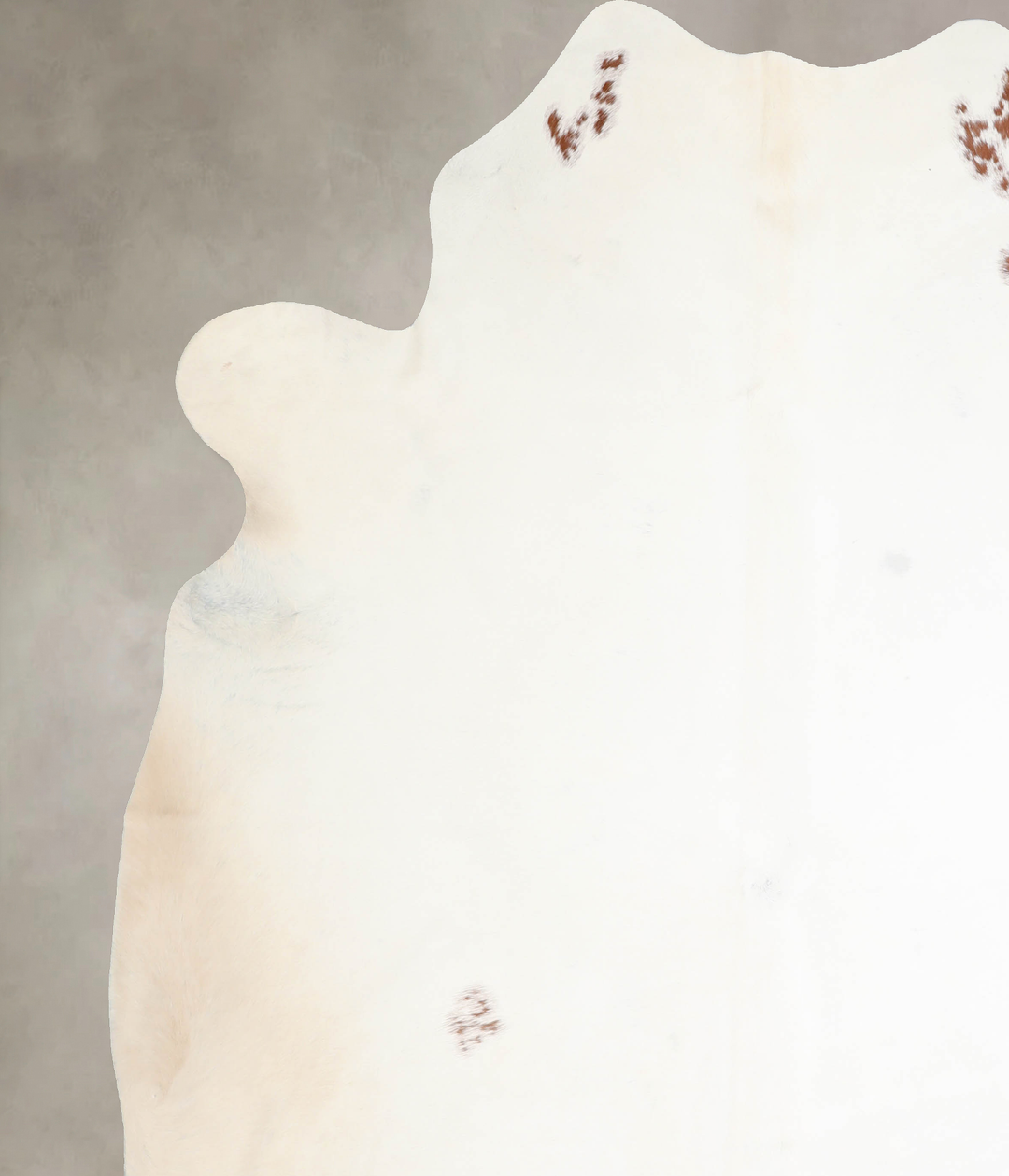 Ivory with Beige XX-Large Brazilian Cowhide Rug 8'4"H x 7'4"W #A31501 