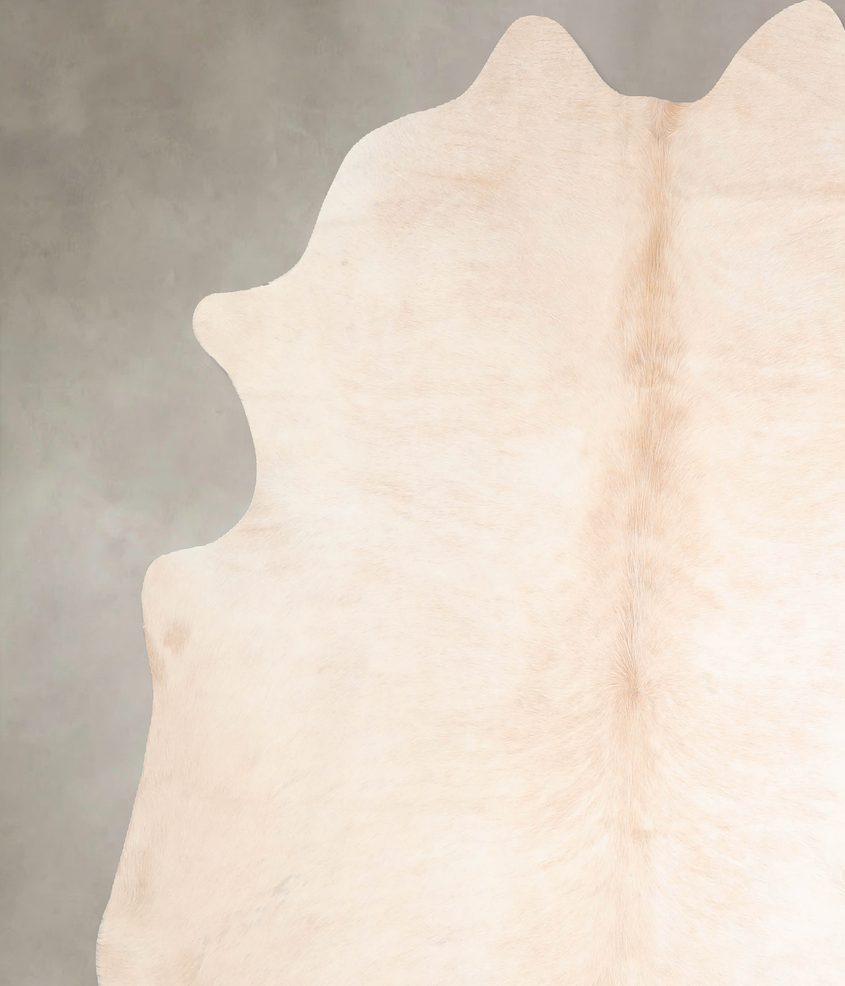 Ivory with Beige Cowhide Rug #A31506