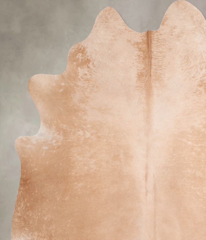 Beige XX-Large Brazilian Cowhide Rug 8'0"H x 6'7"W #A31534 by Hudson Hides