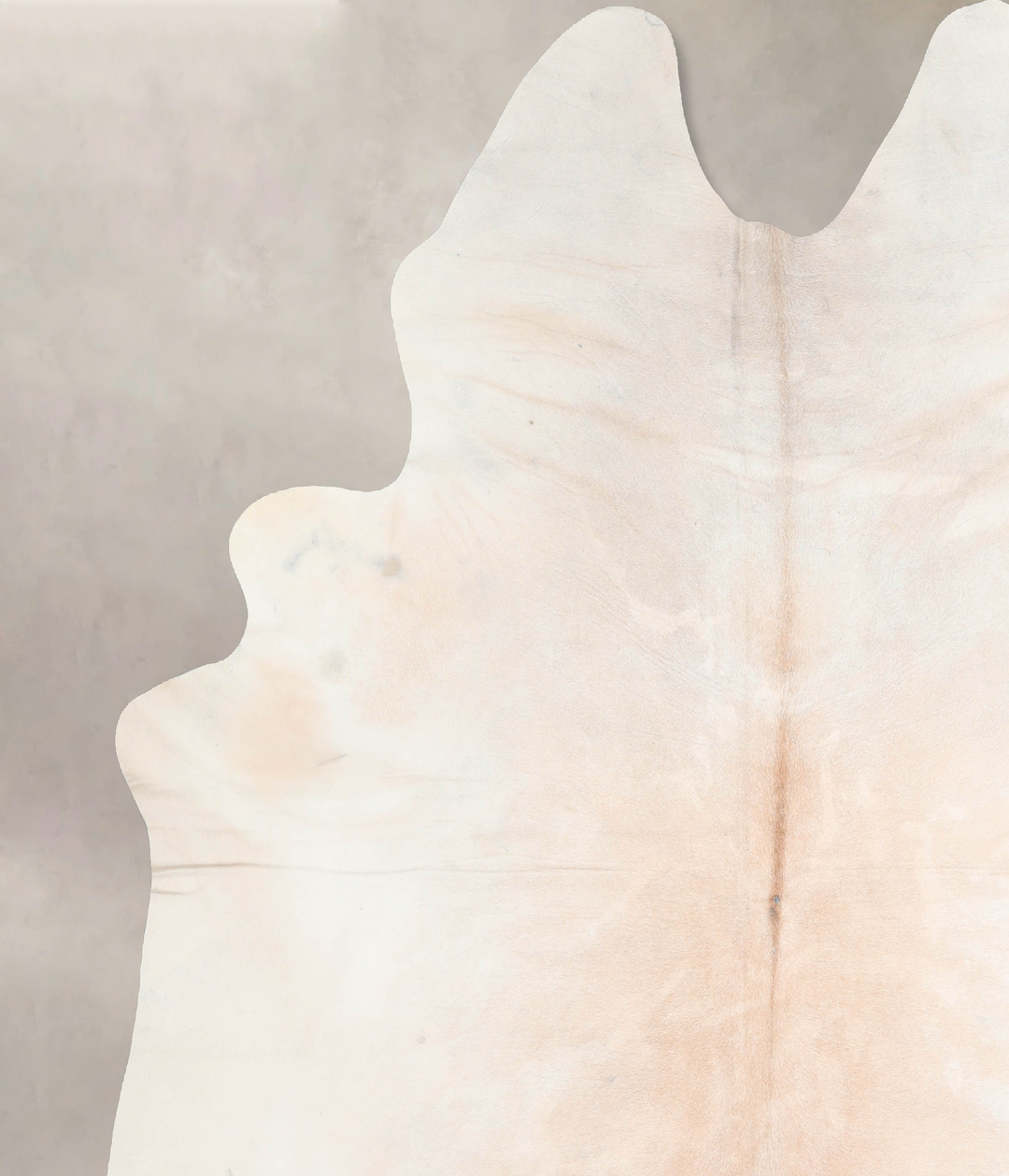 Ivory with Beige XX-Large Brazilian Cowhide Rug 8'0"H x 6'10"W #A31578