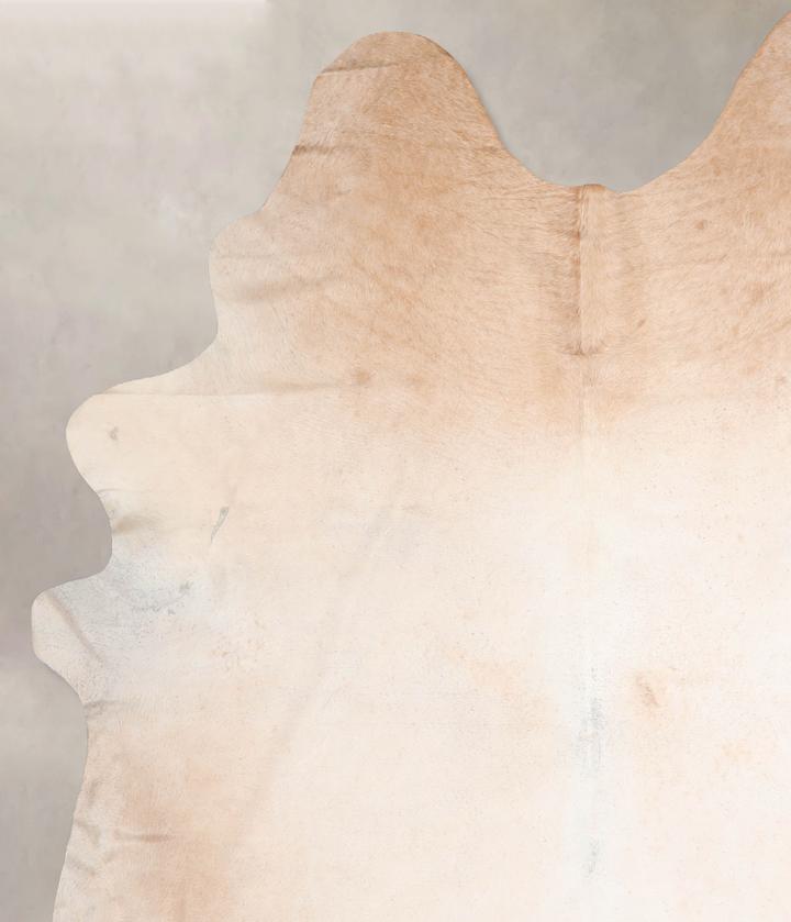 Ivory with Beige XX-Large Brazilian Cowhide Rug 8'8"H x 7'6"W #A31585 by Hudson Hides