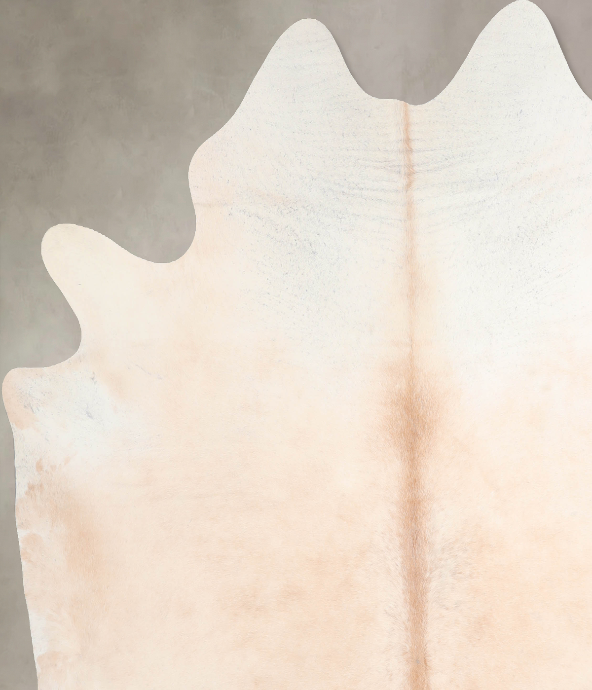 Ivory with Beige XX-Large Brazilian Cowhide Rug 7'6"H x 7'0"W #A31602 by Hudson Hides
