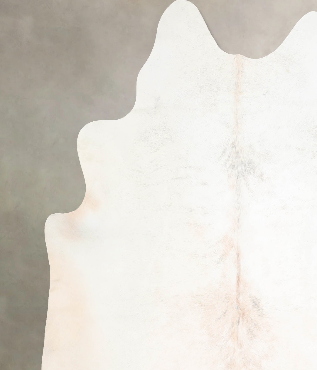 Ivory with Beige X-Large Brazilian Cowhide Rug 6'6"H x 6'9"W #A31658 b