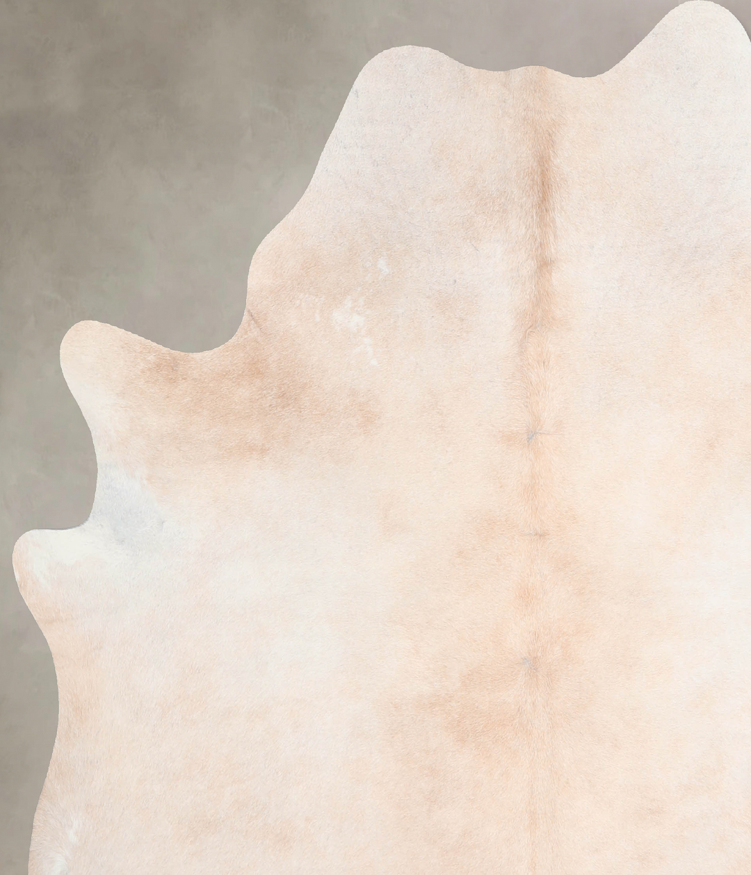 Ivory with Beige Large Brazilian Cowhide Rug 6'7"H x 5'11"W #A31663 by