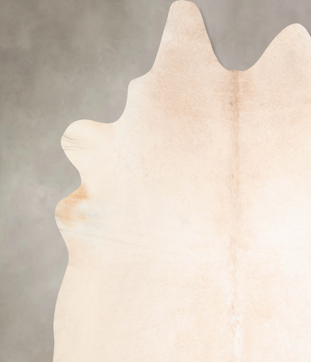 Ivory with Beige XX-Large Brazilian Cowhide Rug 8'1"H x 7'11"W #A31674