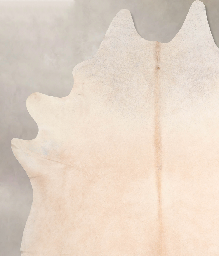 Ivory with Beige XX-Large Brazilian Cowhide Rug 8'8"H x 7'6"W #A31687 by Hudson Hides