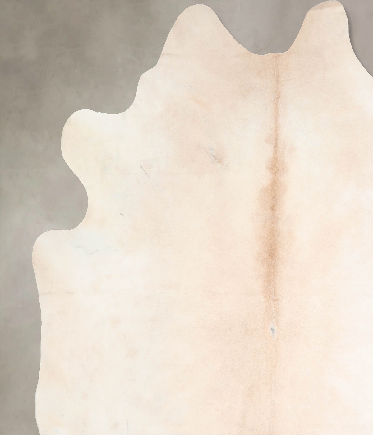 Ivory with Beige Cowhide Rug #A31689