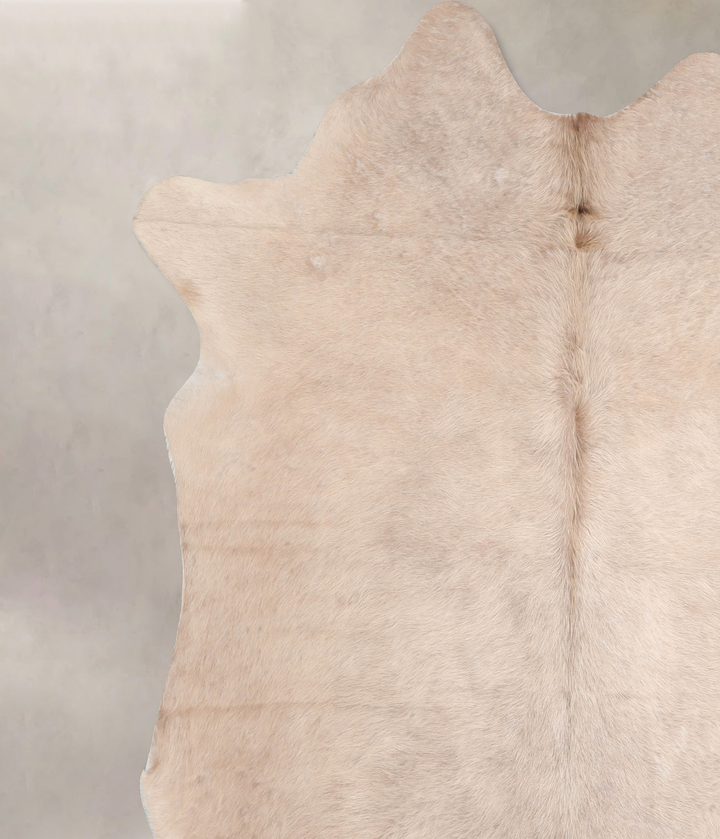 Champagne X-Large Brazilian Cowhide Rug 6'11"H x 6'7"W #A31714 by Hudson Hides