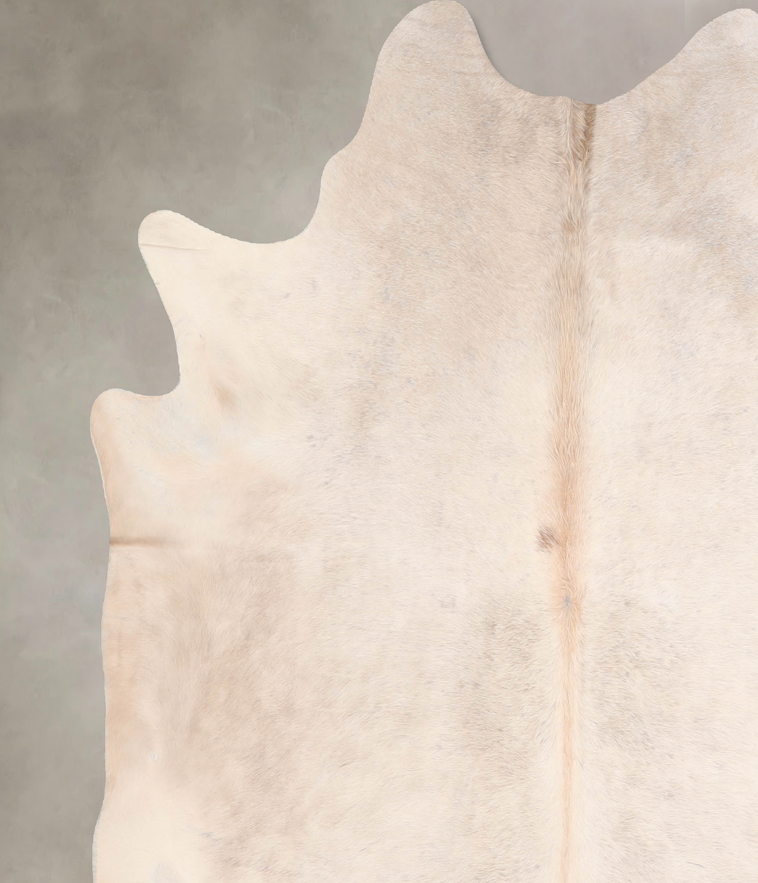Beige X-Large Brazilian Cowhide Rug 6'11"H x 6'8"W #A31721 by Hudson H