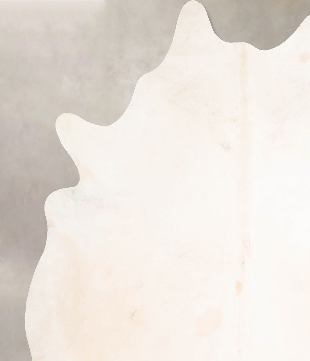 Ivory with Beige X-Large Brazilian Cowhide Rug 6'11"H x 6'6"W #A31762 