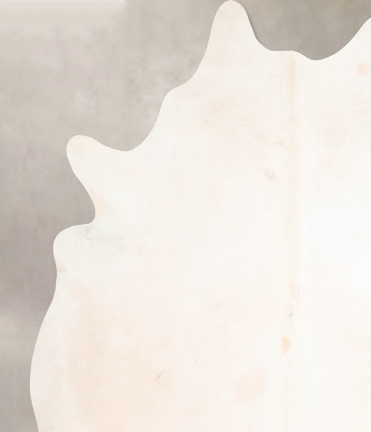 Ivory with Beige Cowhide Rug #A31762