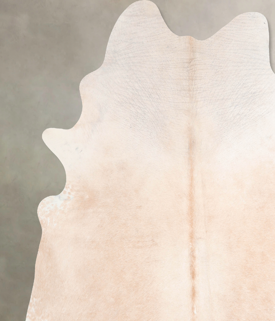 Ivory with Beige XX-Large Brazilian Cowhide Rug 7'5"H x 6'10"W #A31769