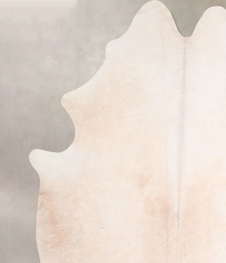 Ivory with Beige XX-Large Brazilian Cowhide Rug 7'4"H x 6'10"W #A31814 by Hudson Hides