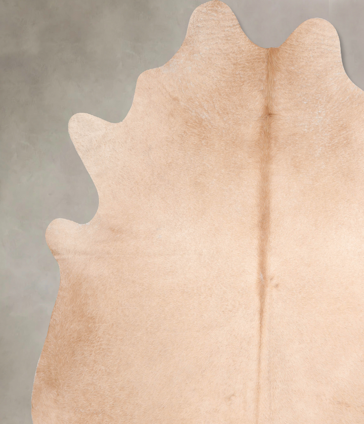 Beige XX-Large Brazilian Cowhide Rug 8'0"H x 7'5"W #A31834 by Hudson Hides