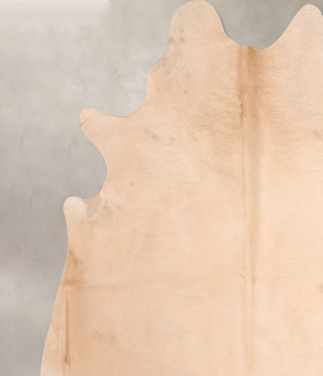 Beige X-Large Brazilian Cowhide Rug 6'11"H x 6'6"W #A31894 by Hudson H