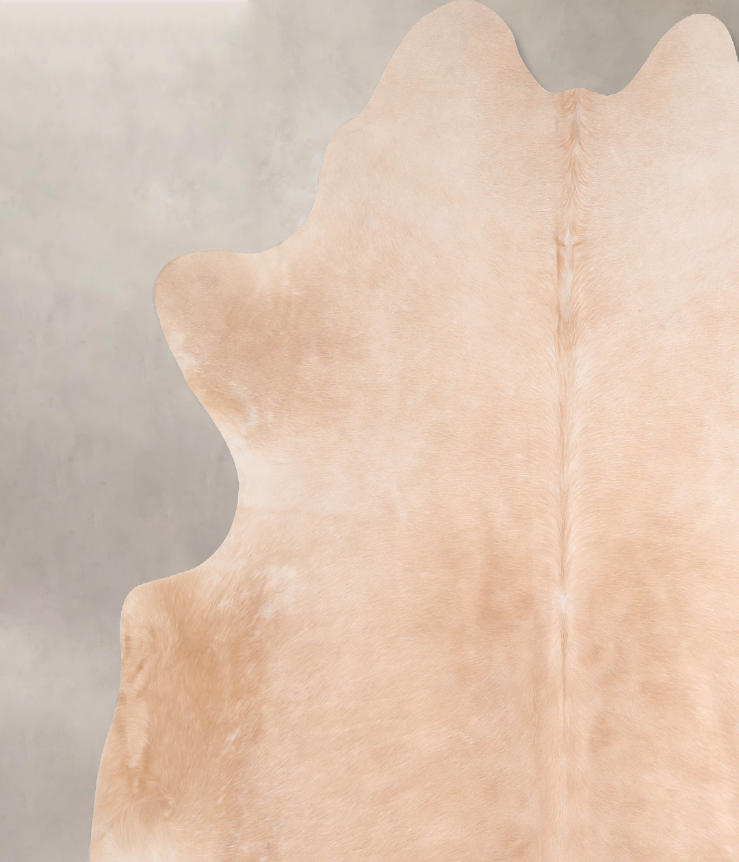 Beige XX-Large Brazilian Cowhide Rug 7'8"H x 7'2"W #A31896 by Hudson H
