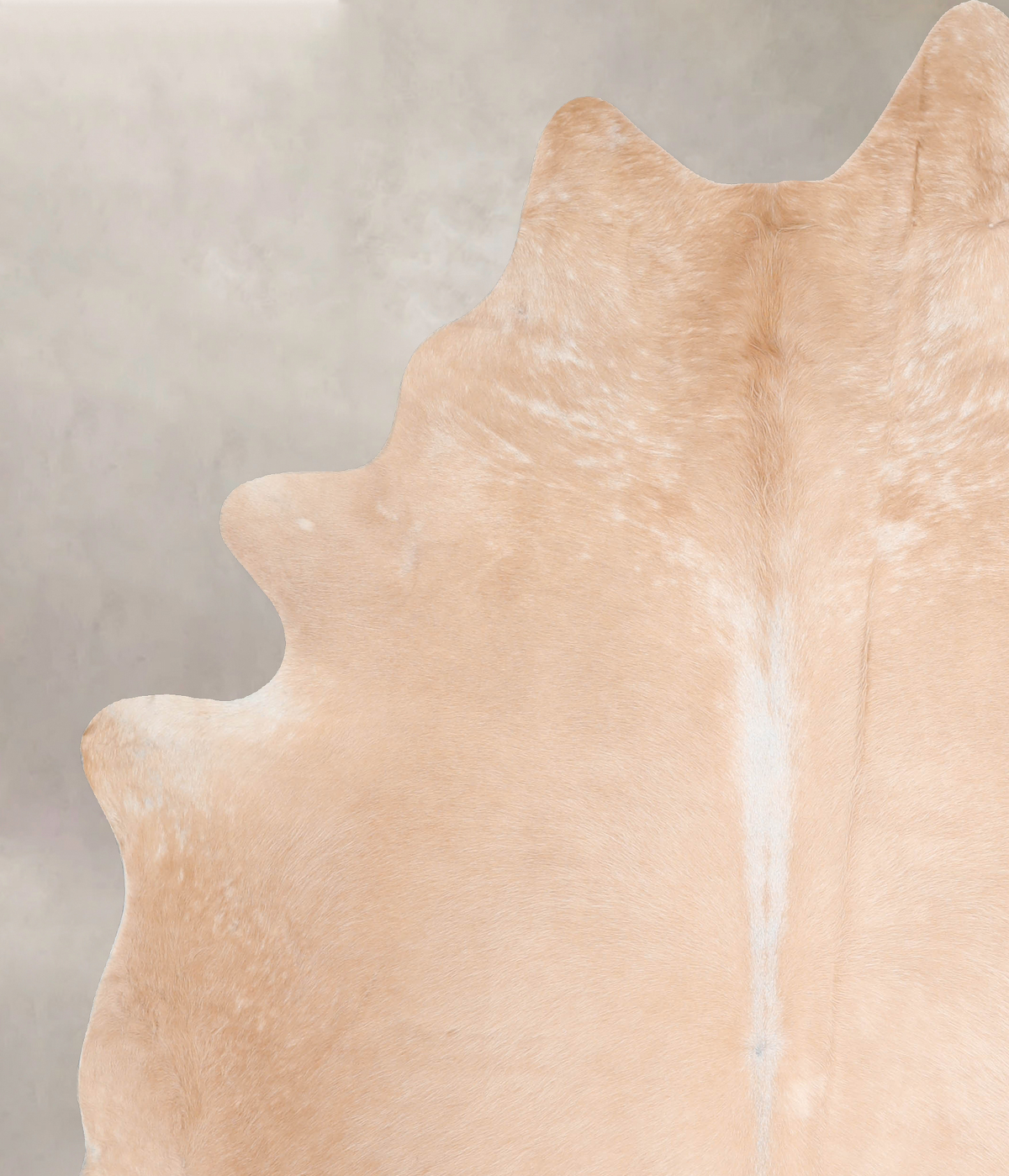 Beige XX-Large Brazilian Cowhide Rug 7'9"H x 6'7"W #A31948 by Hudson Hides