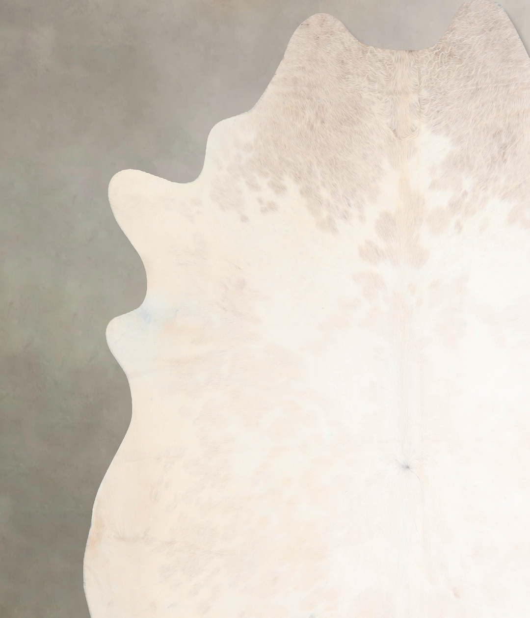 Ivory with Beige XX-Large Brazilian Cowhide Rug 8'2"H x 8'0"W #A31979 