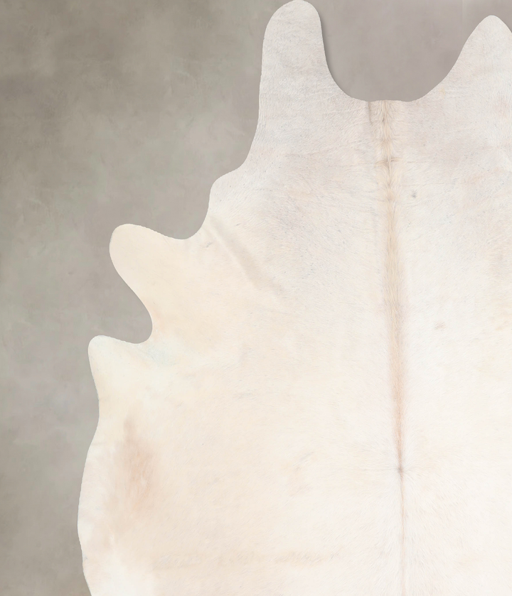 Ivory with Beige XX-Large Brazilian Cowhide Rug 7'11"H x 7'2"W #A31983 by Hudson Hides