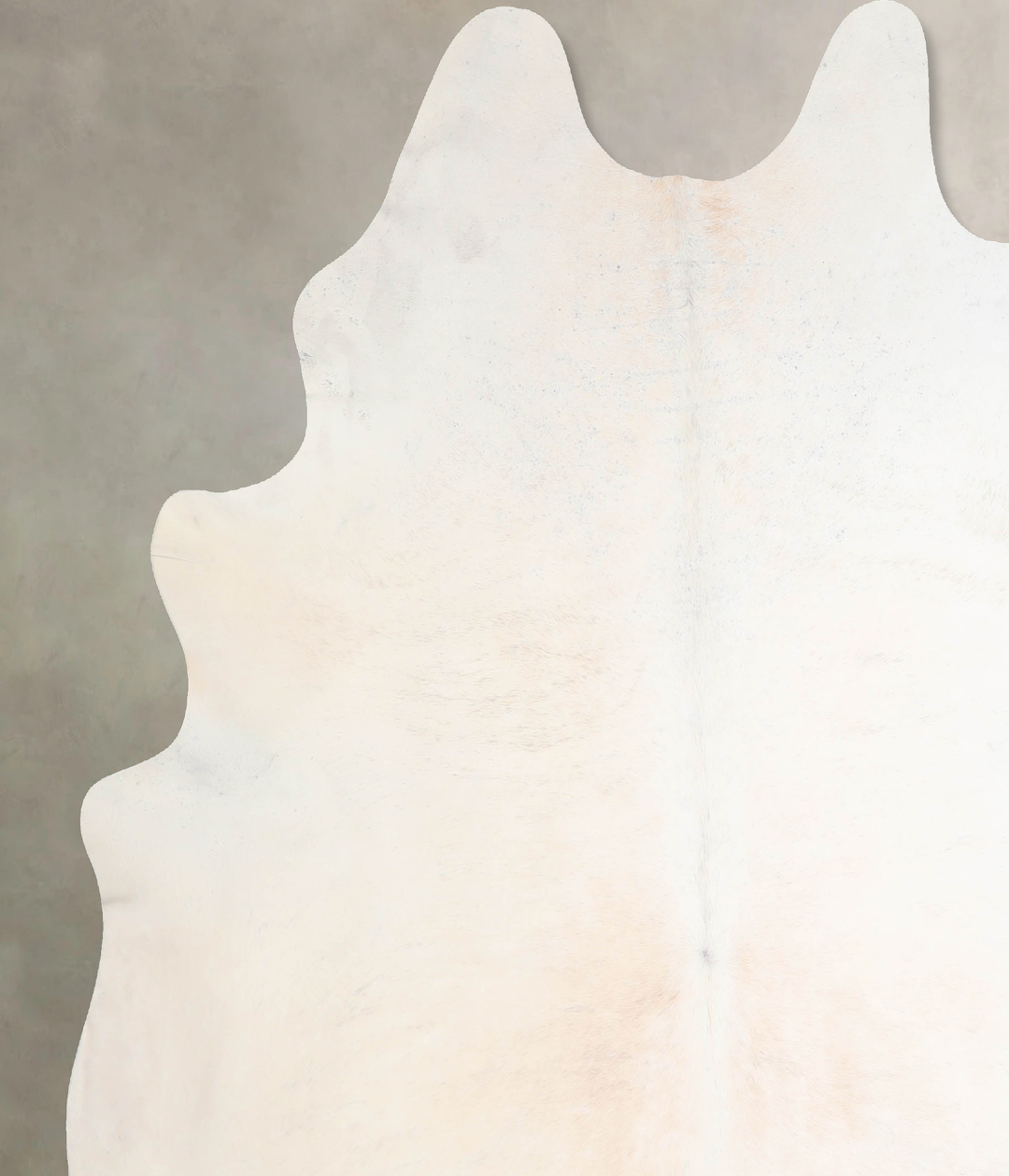 Ivory with Beige XX-Large Brazilian Cowhide Rug 8'1"H x 7'6"W #A32007 