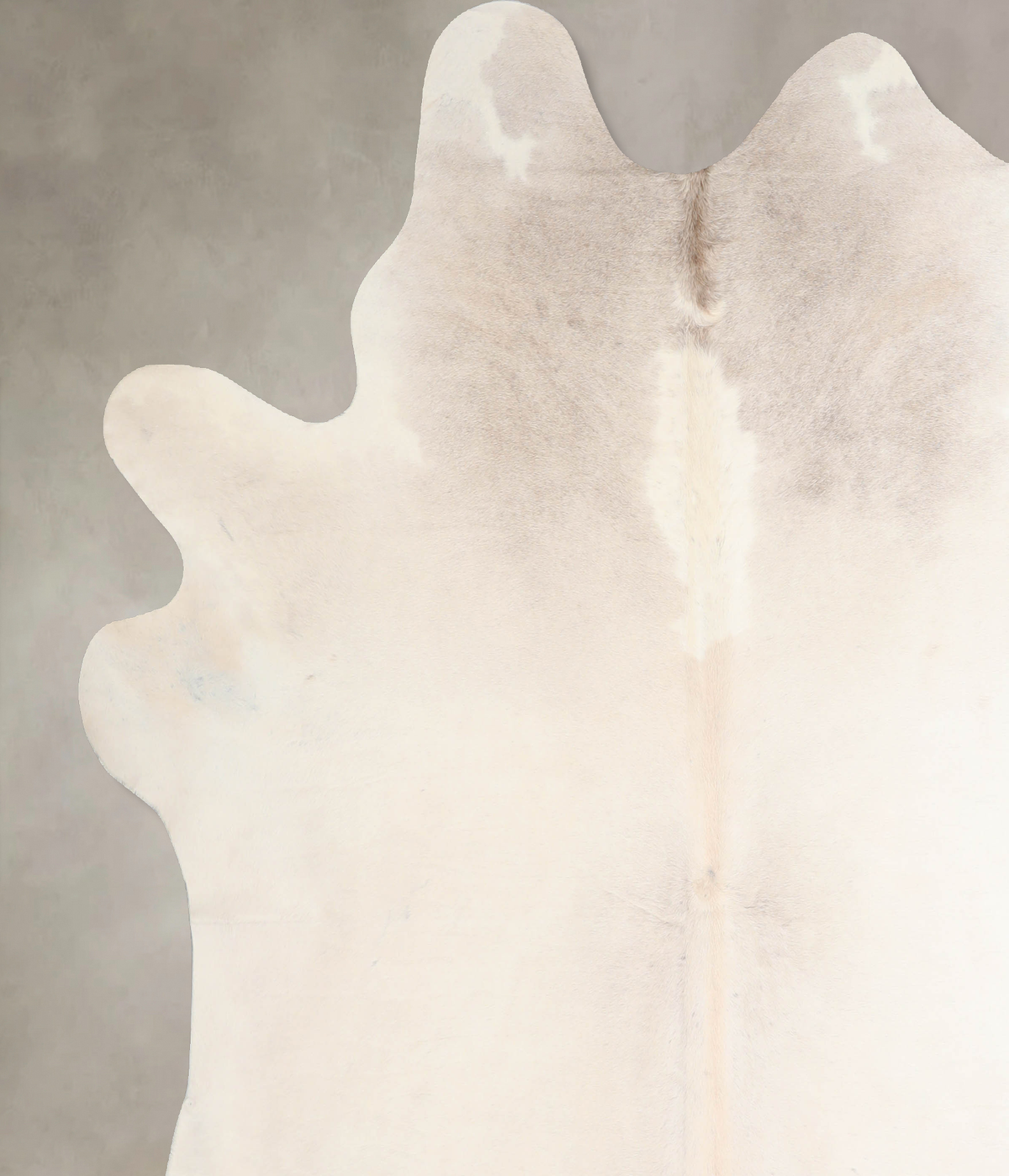 Ivory with Beige XX-Large Brazilian Cowhide Rug 7'11"H x 7'5"W #A32011 by Hudson Hides