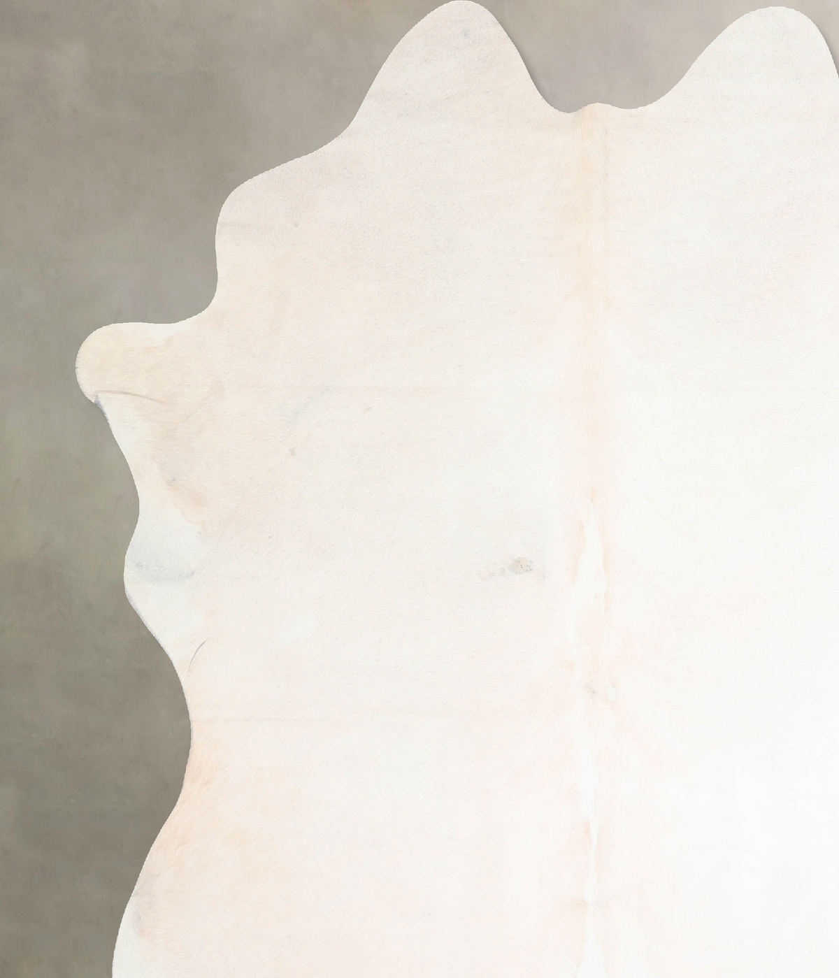 Ivory with Beige XX-Large Brazilian Cowhide Rug 7'8"H x 7'1"W #A32023 by Hudson Hides