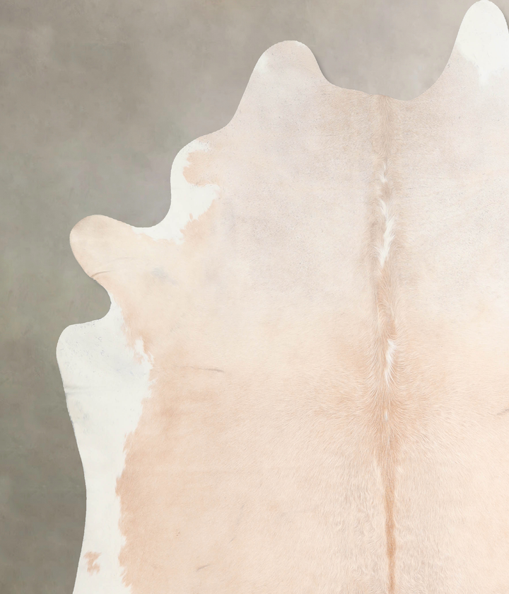 Ivory with Beige XX-Large Brazilian Cowhide Rug 7'5"H x 7'1"W #A32030 by Hudson Hides