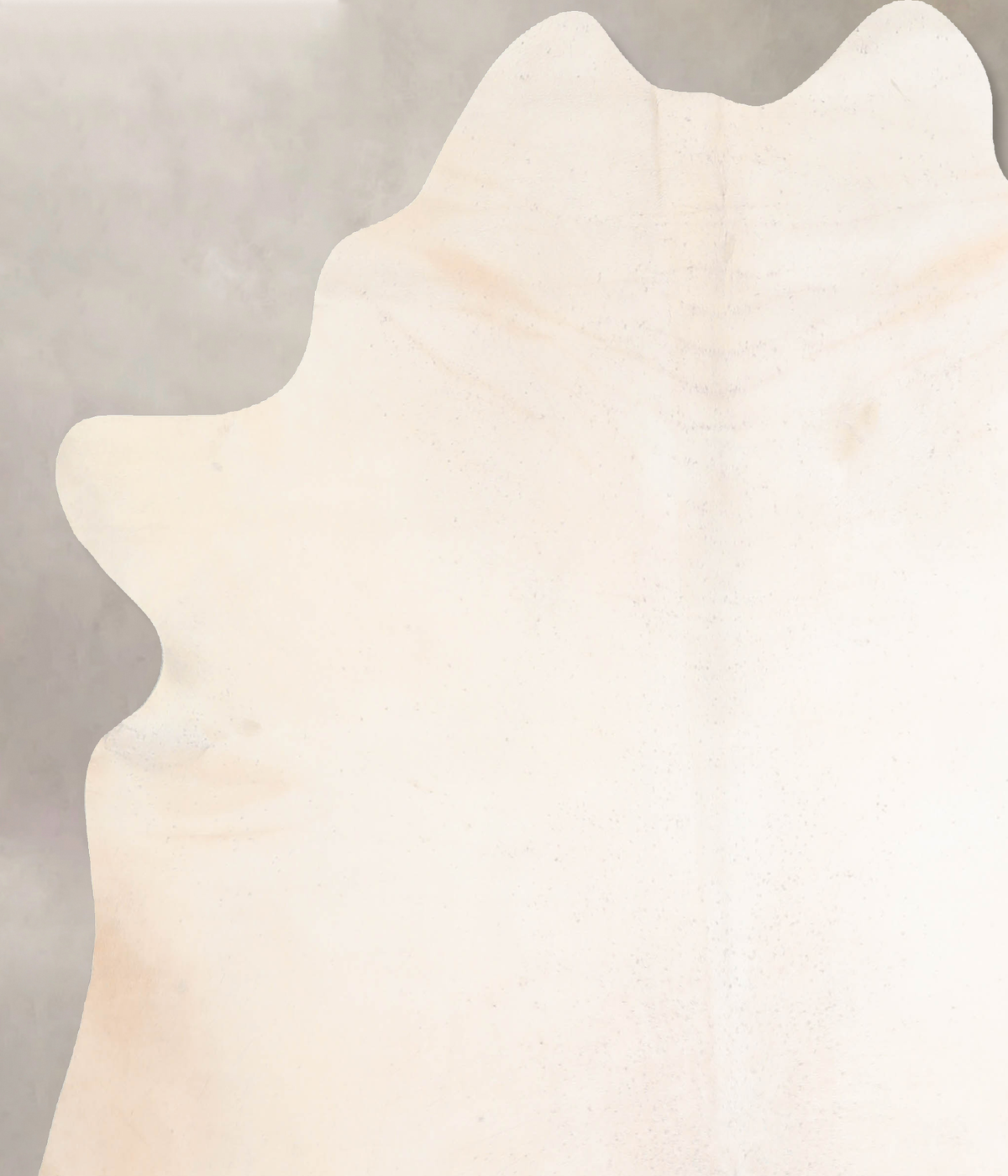 Ivory with Beige Cowhide Rug #A32159