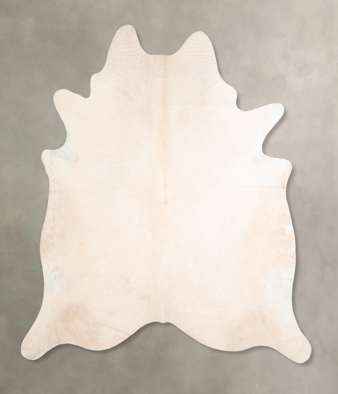 Ivory with Beige XX-Large Brazilian Cowhide Rug 7'7"H x 7'1"W #A32171 