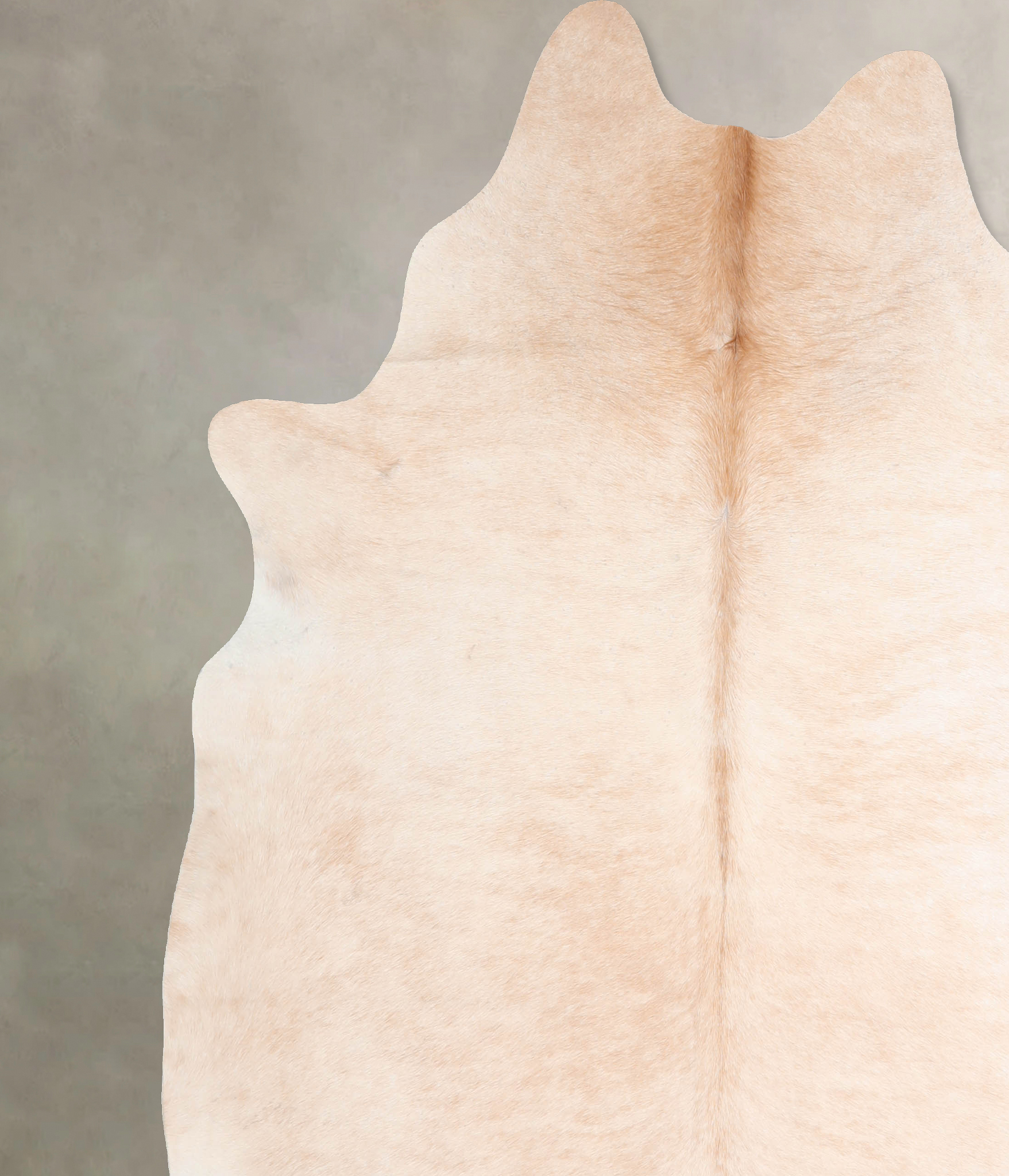 Ivory with Beige Cowhide Rug #A32187
