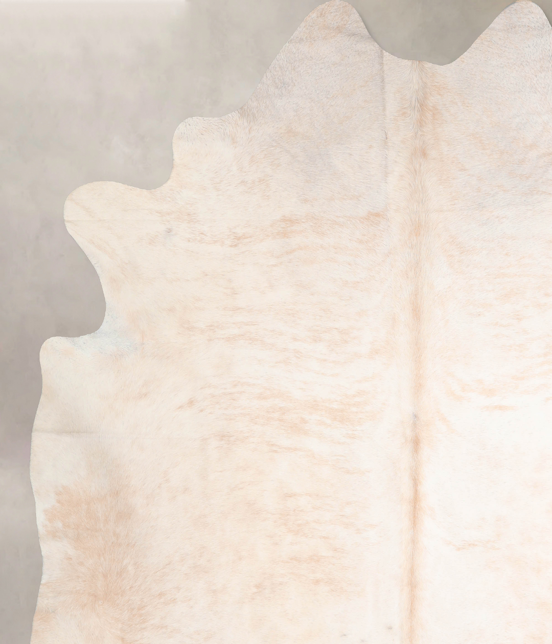 Ivory with Beige XX-Large Brazilian Cowhide Rug 8'5"H x 7'6"W #A32197 