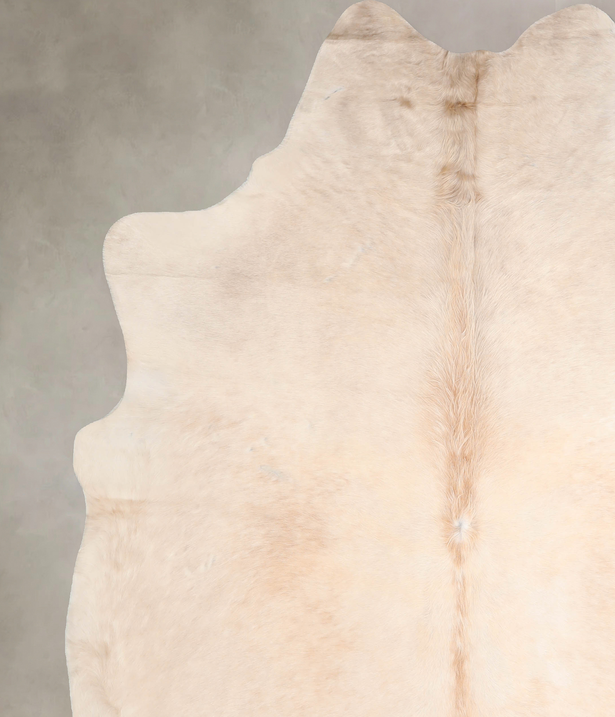 Ivory with Beige XX-Large Brazilian Cowhide Rug 8'1"H x 6'8"W #A32240 by Hudson Hides